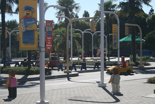 img_4981_resize384.jpg