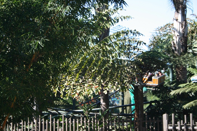 img_5007_resize410.jpg