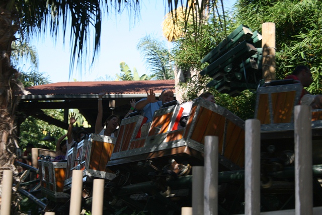 img_5009_resize412.jpg