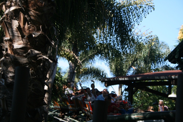 img_5010_resize413.jpg
