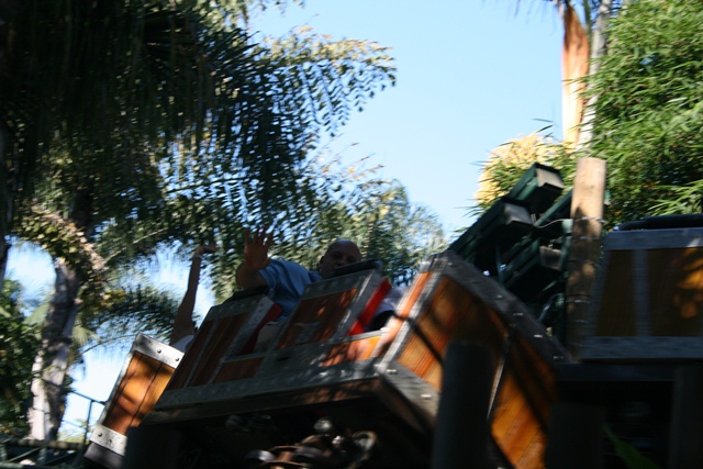 img_5011_resize414.jpg