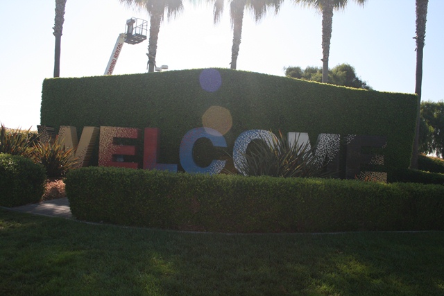 img_5014_resize417.jpg