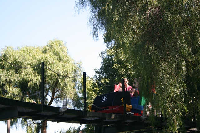 img_5036_resize439.jpg