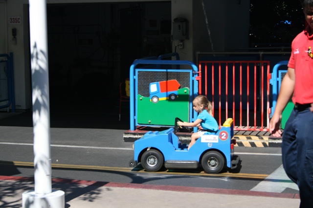 img_5043_resize446.jpg