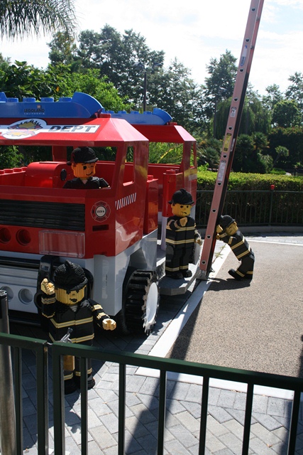 img_5086_resize489.jpg
