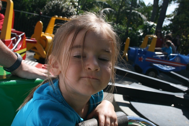 img_5088_resize491.jpg