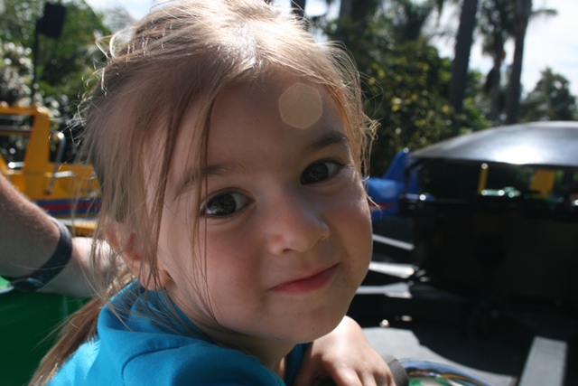 img_5089_resize492.jpg