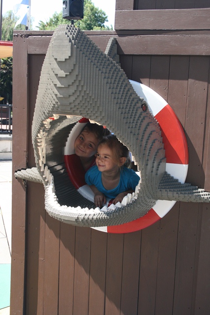 img_5102_resize505.jpg