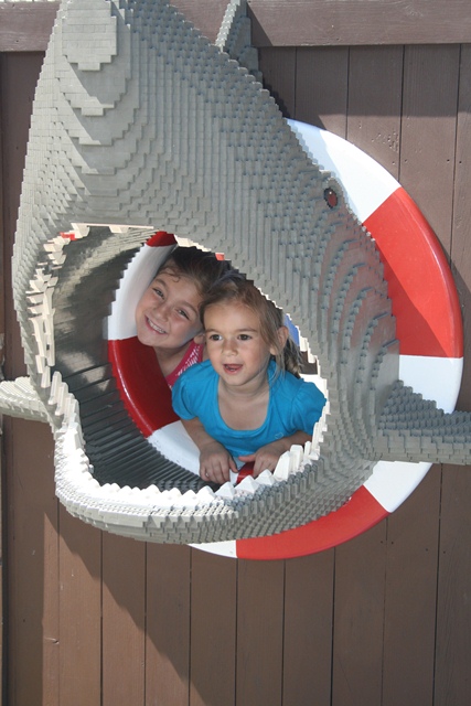 img_5104_resize507.jpg
