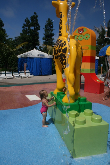 img_5112_resize515.jpg