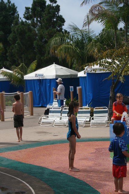img_5118_resize521.jpg