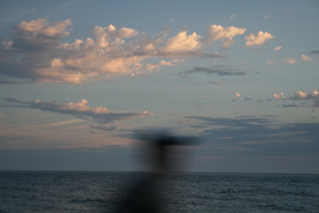 img_5126_resize529.jpg