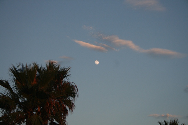 img_5137_resize540.jpg