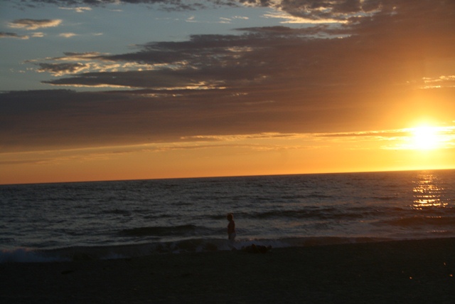 img_5139_resize542.jpg