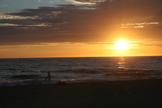 img_5140_resize543.jpg