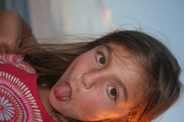 img_5145_resize548.jpg