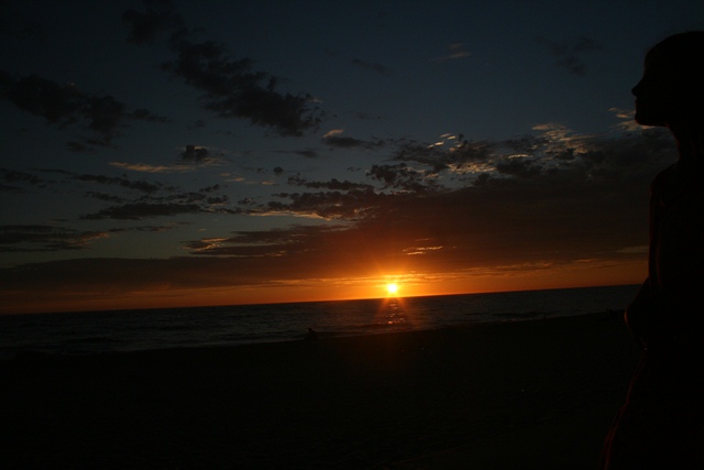 img_5153_resize556.jpg