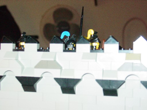 castlewall3.jpg