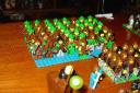 dsc01078.jpg