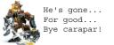 caraparforgoodnz6.png