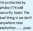 wall_security.png