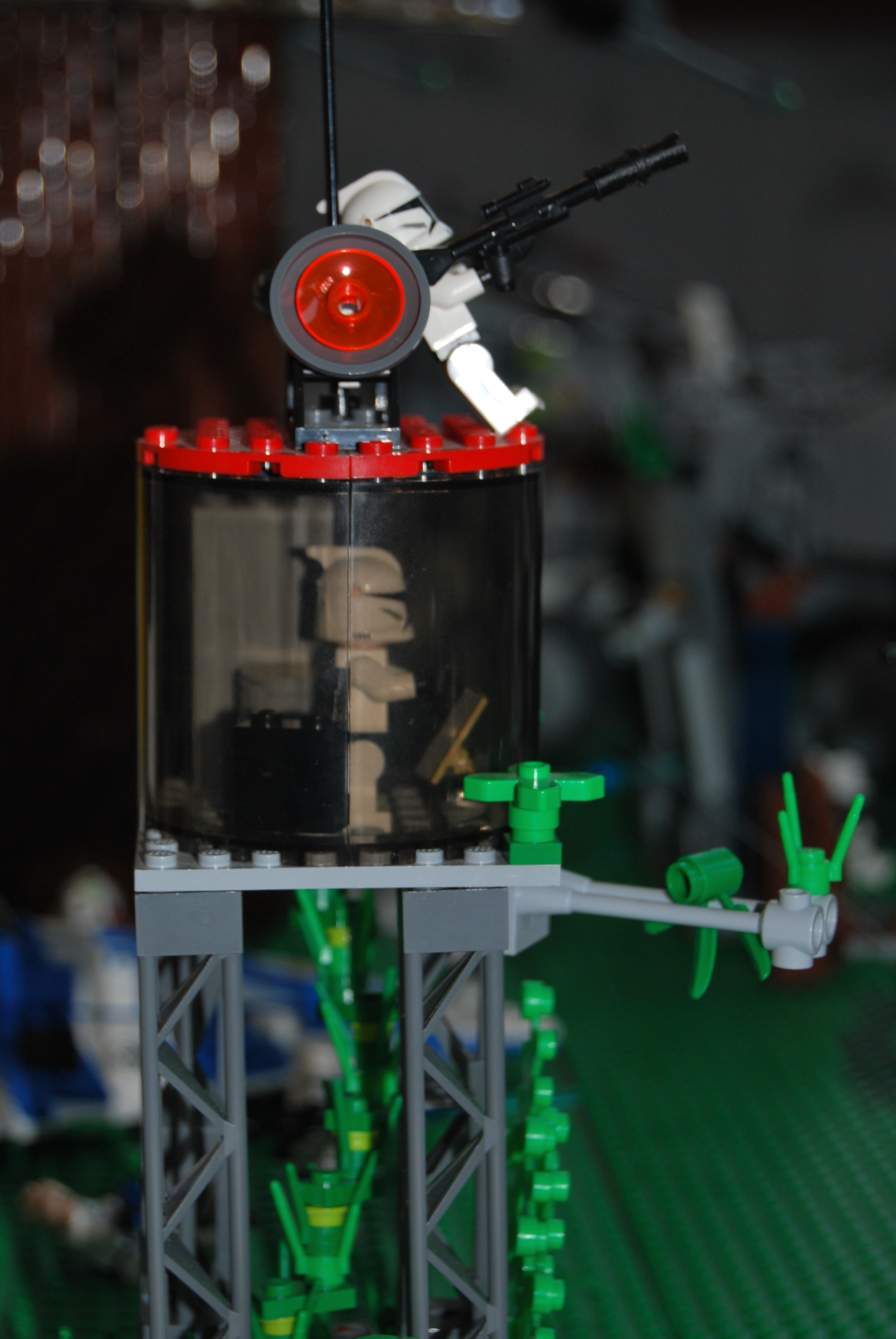 dsc_0165.jpg