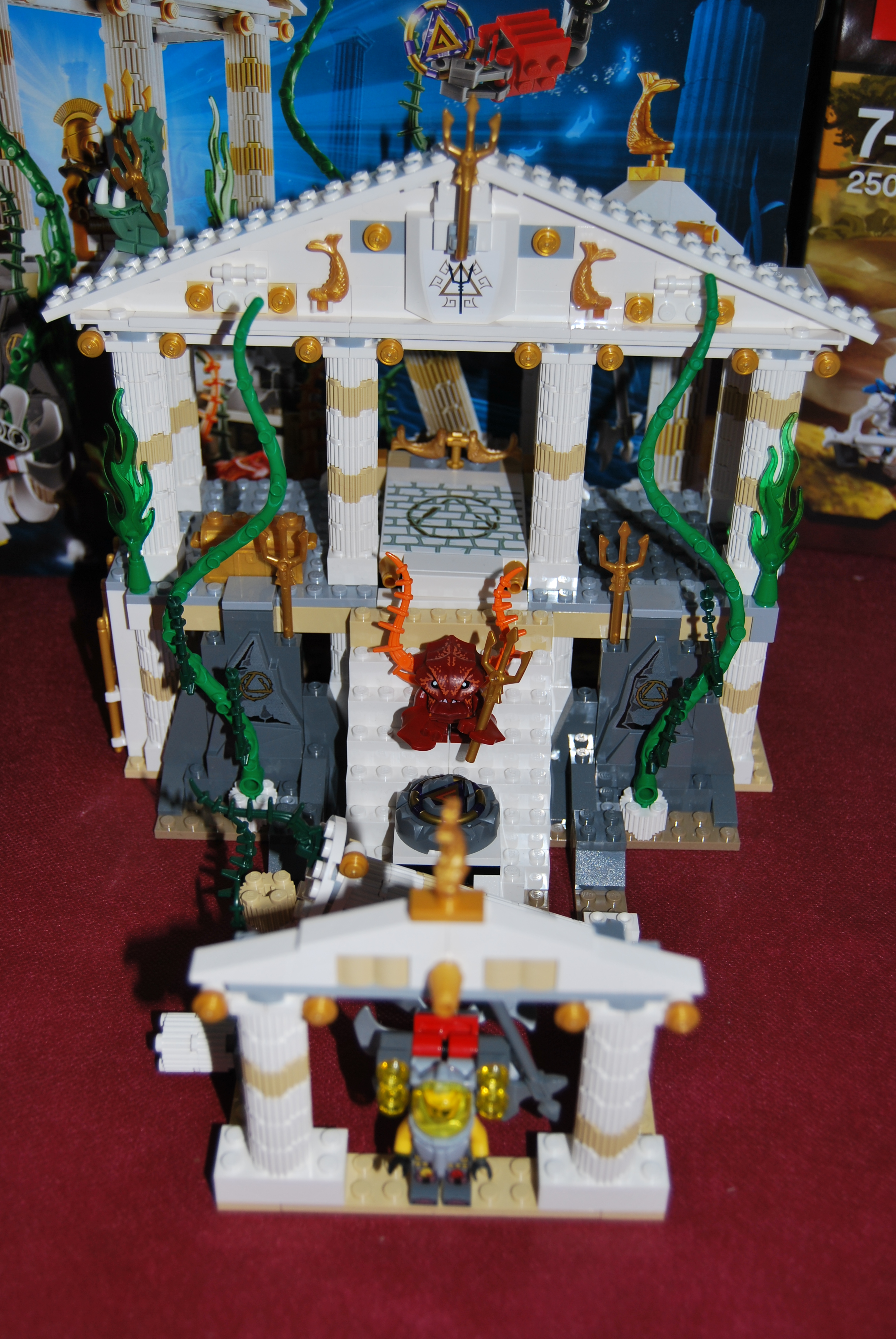 dsc_0213.jpg