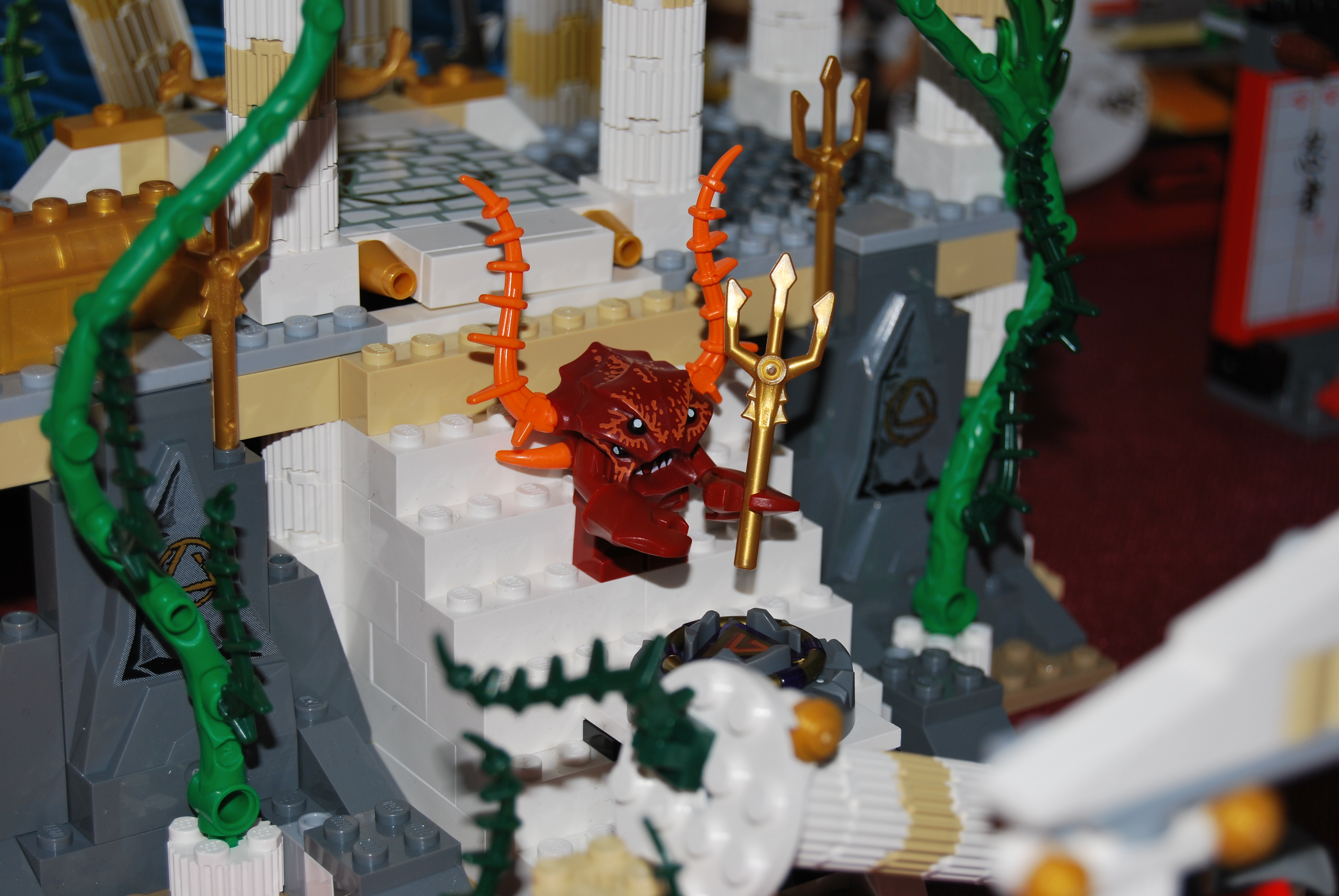 dsc_0220.jpg