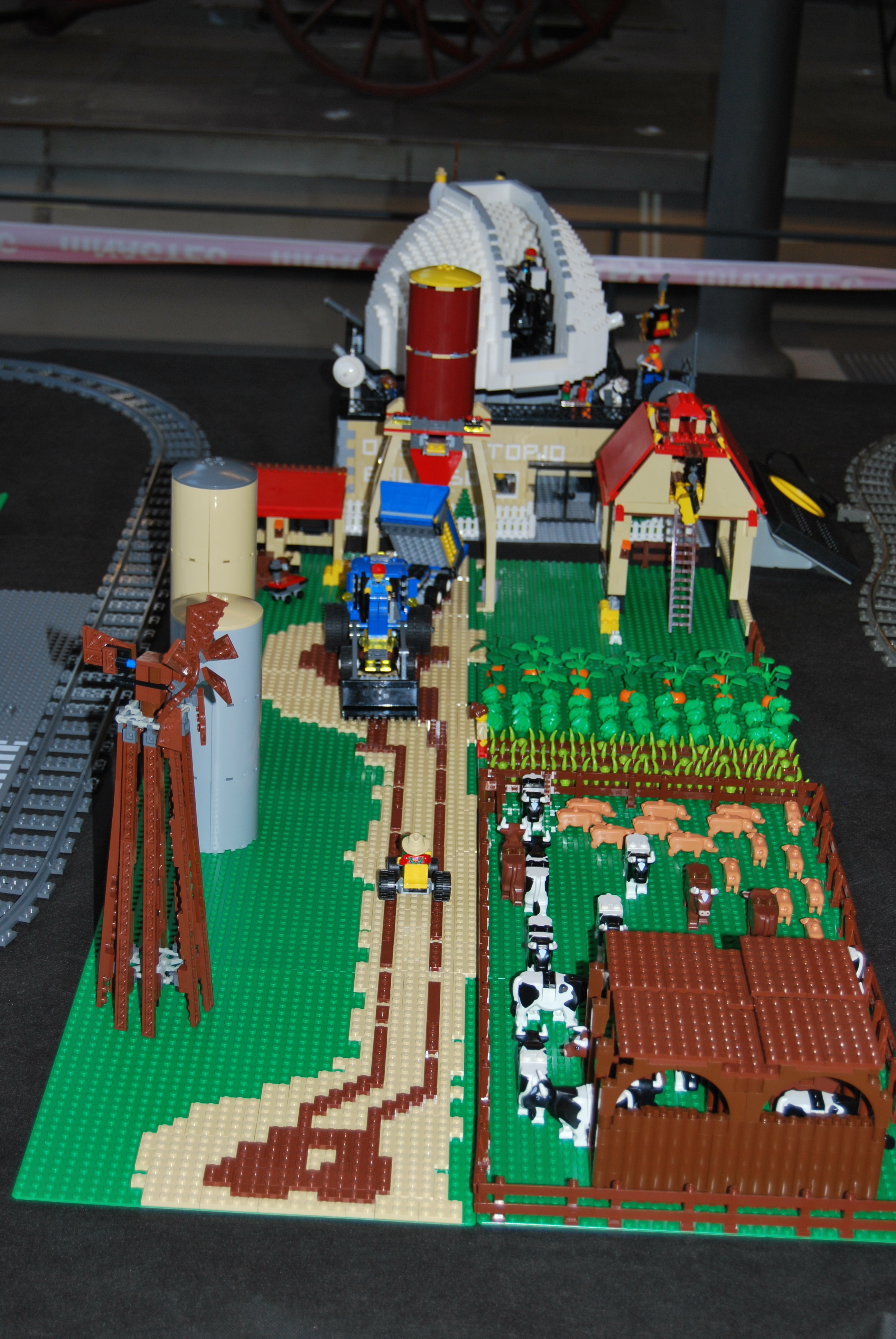 dsc_0247.jpg