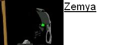 zemya_banner.jpg