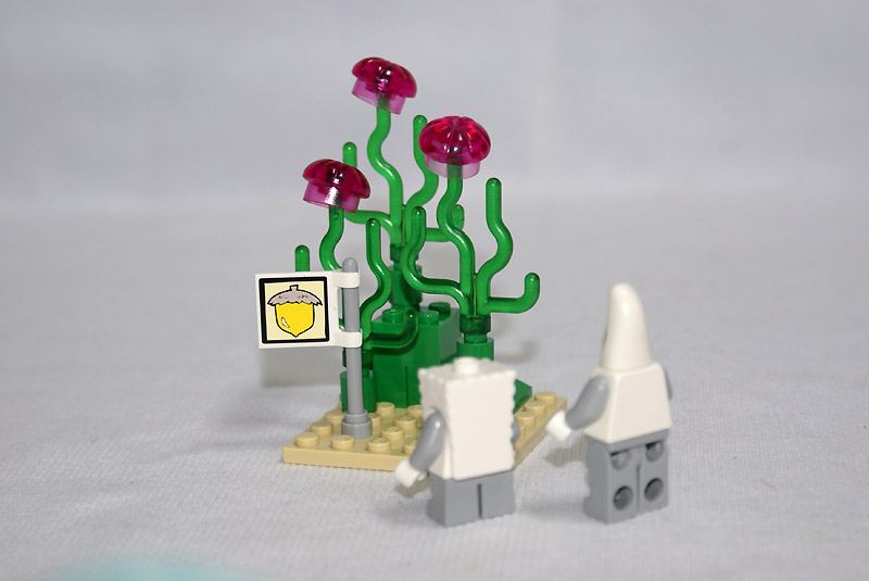 3831-11.jpg