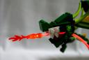 4894-54.jpg