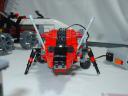 worm-5.jpg