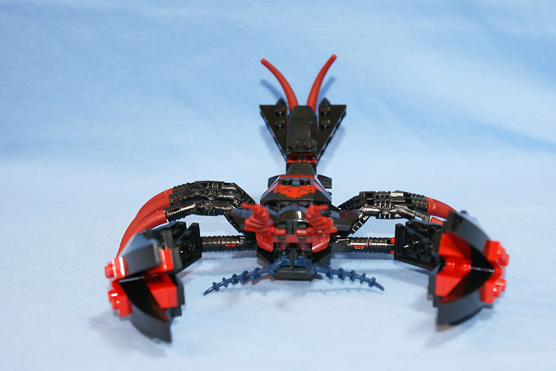 7772-11.jpg