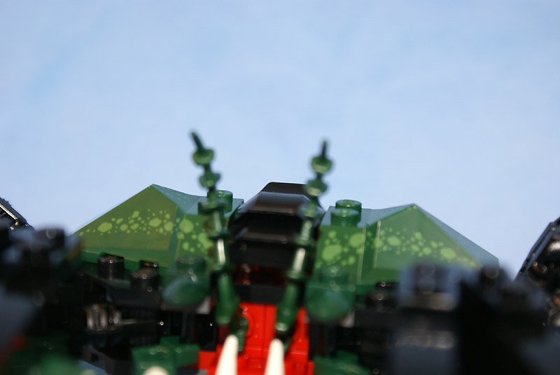 7774-49.jpg