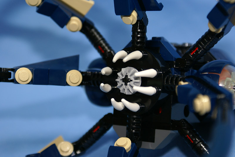 7775-31.jpg
