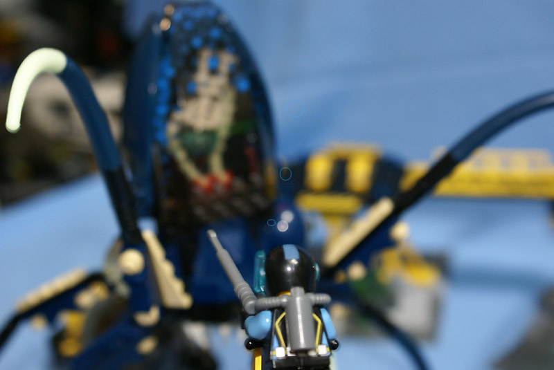 7775-84.jpg