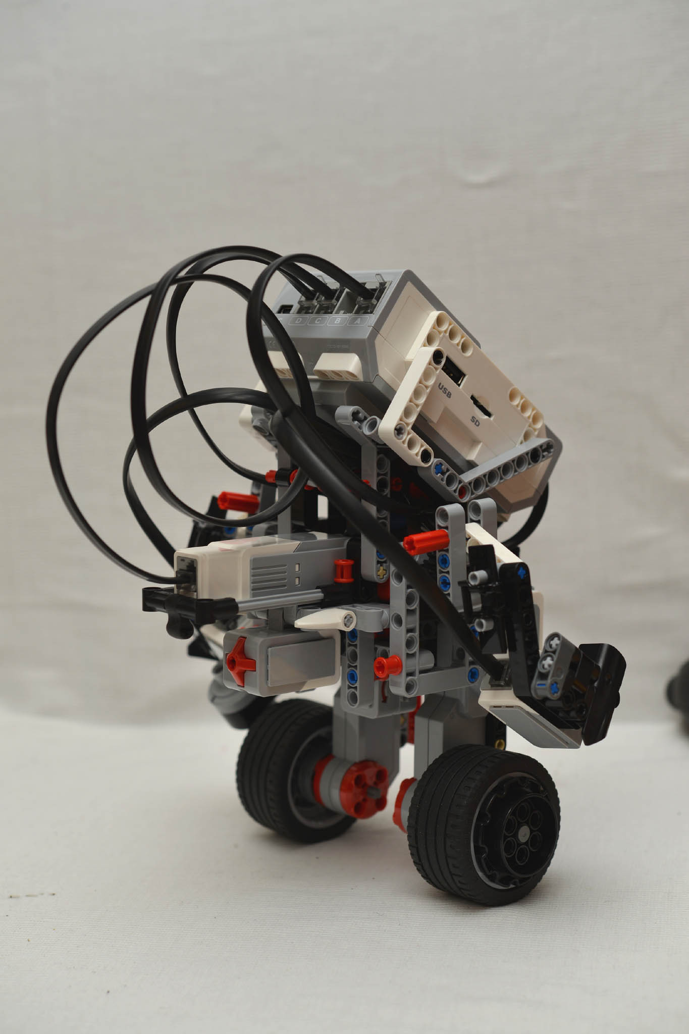 45544-41.jpg