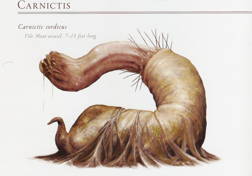 carnictis3.jpg