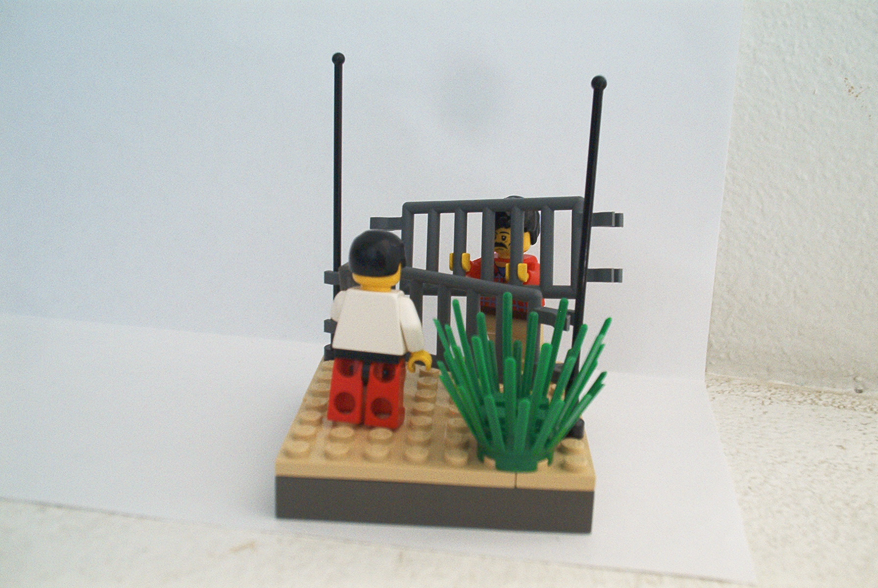 border4.jpg
