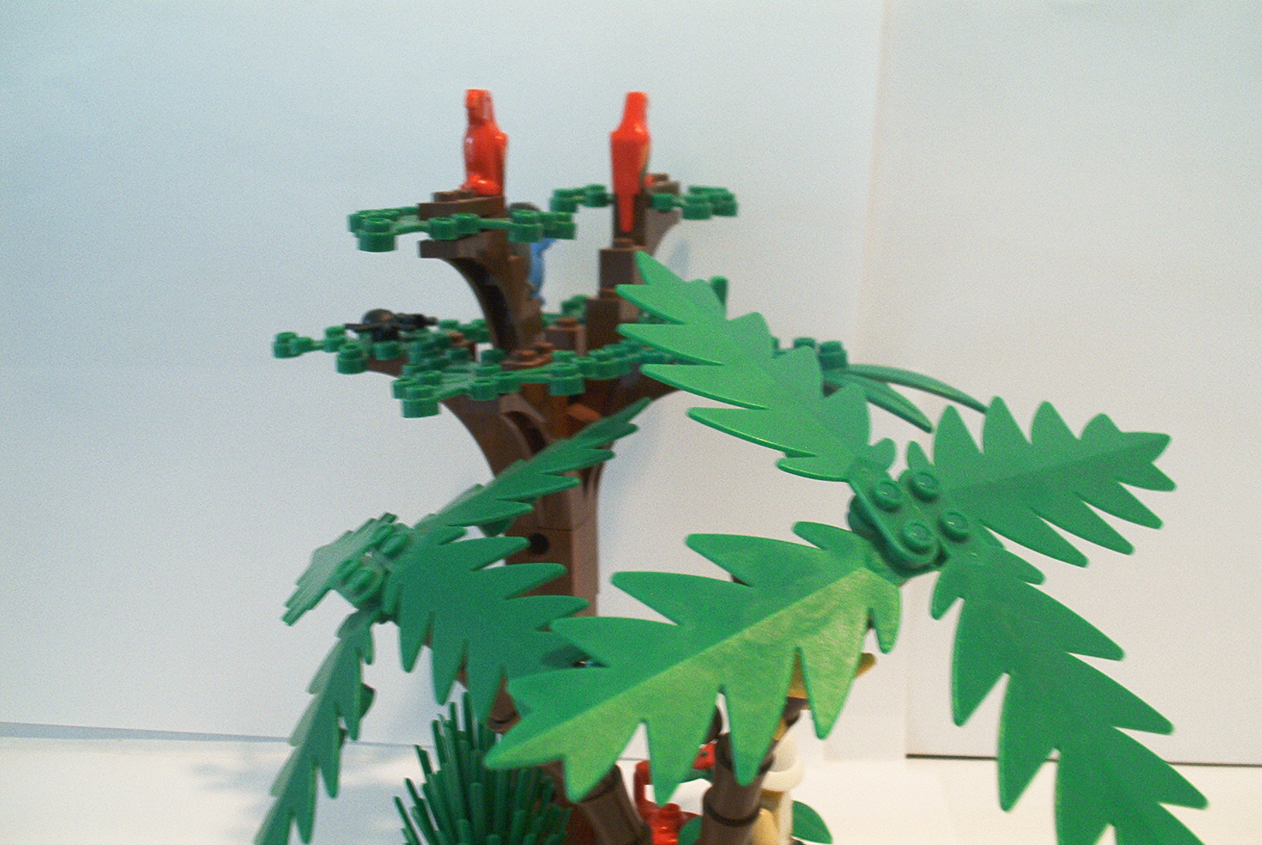 jungle3.jpg
