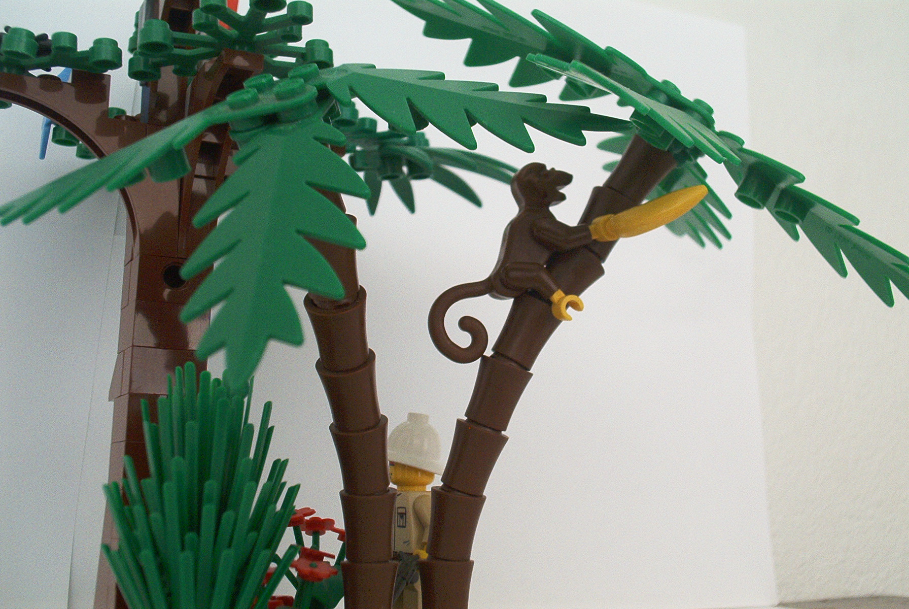 jungle4.jpg