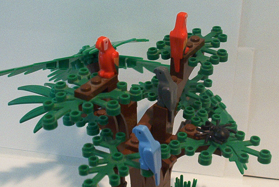 jungle6.jpg