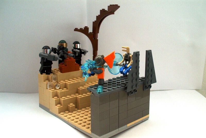ark.jpg