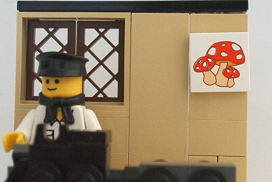 train3.jpg