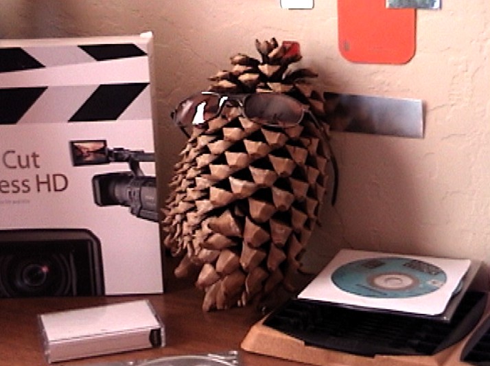 mr.pinecone.jpg