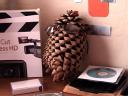 mr.pinecone.jpg