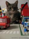 cat_catzilla_attacks_lego_town-1.jpg