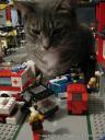 cat_catzilla_attacks_lego_town-6.jpg