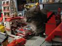 cat_catzilla_attacks_lego_town.jpg